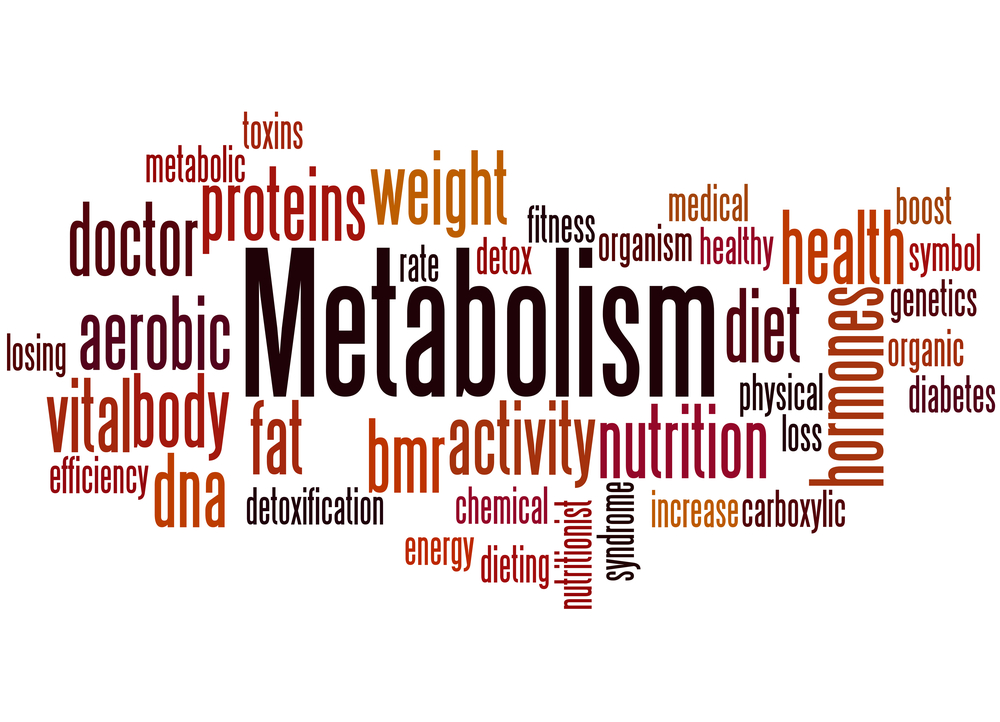 Metabolism-I [BC-5501]